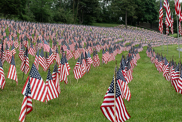 Indiantown Gap National cemetery with American Flags on every grave.